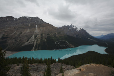 _MG_1786 Peyto Lake - Sept 08.jpg