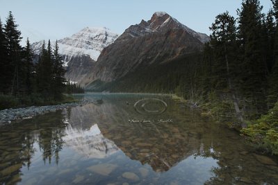 _MG_1691 Jasper - Sept 08.jpg