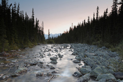 _MG_1695 Jasper - Sept 08.jpg