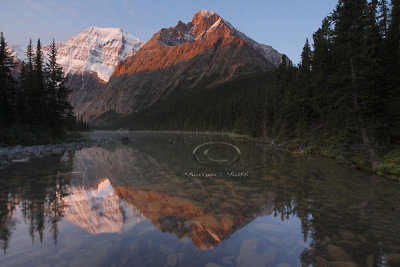 _MG_1737 Jasper - Sept 08.jpg