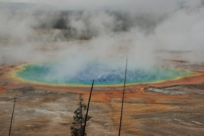 0C9K4533 Yellowstone Sept08.jpg