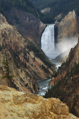 0C9K4627 Yellowstone Sept08.jpg