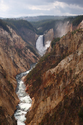 0C9K4676 Yellowstone Sept08.jpg