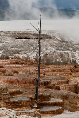 _MG_0790Upper Terrace.jpg