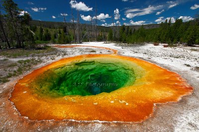 Morning Glory - Yellowstone 2009