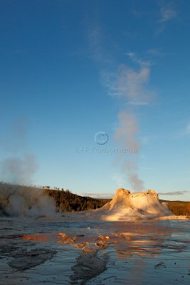 _MG_0308Yellowstone 2009.jpg