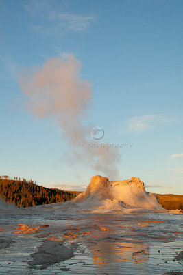 _MG_0316Yellowstone 2009.jpg