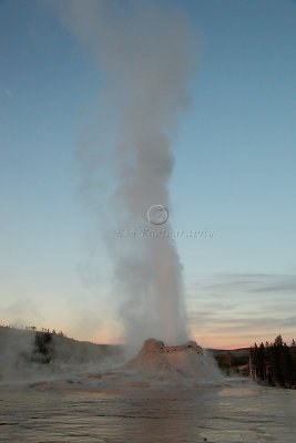 _MG_0453Yellowstone 2009.jpg