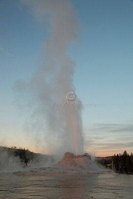 _MG_0461Yellowstone 2009.jpg