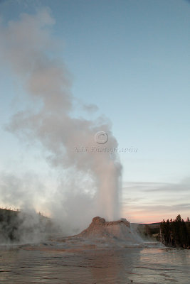 _MG_0485Yellowstone 2009.jpg