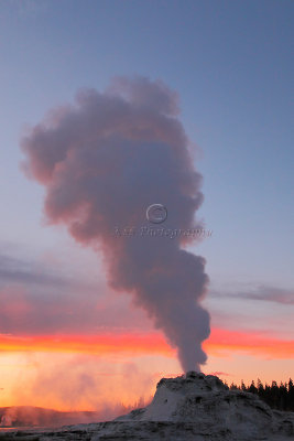 Castle Geyser - 2009