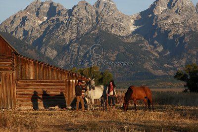 0C9K5038Tetons 2008.jpg