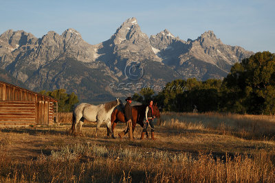 0C9K5047Tetons 2008.jpg