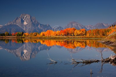 0C9K6854Tetons 2008.jpg