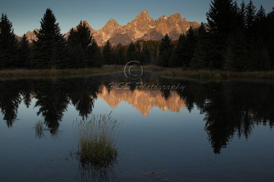 0C9K6626Tetons 2008.jpg