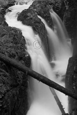 C30F1293 2Sol Duc BW.jpg