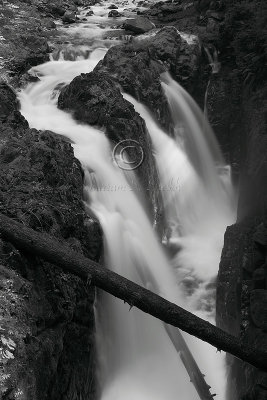 C30F1307 2Sol Duc BW.jpg