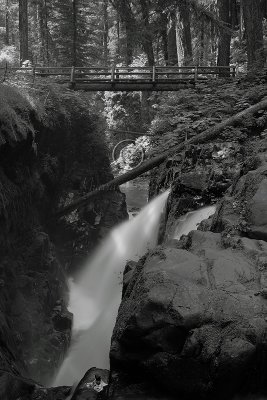 C30F1361 2Sol Duc BW.jpg