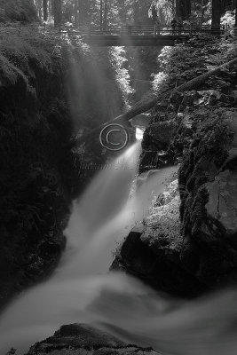 C30F1780Sol Duc falls.jpg