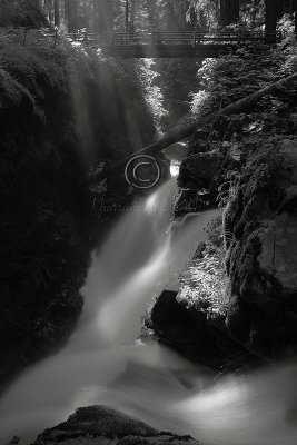 C30F1786Sol Duc falls.jpg