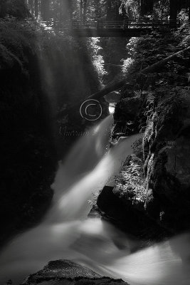 C30F1796Sol Duc falls.jpg