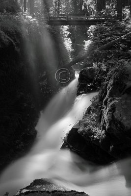 C30F1807Sol Duc falls.jpg