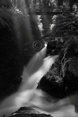 C30F1809 2Sol Duc falls.jpg