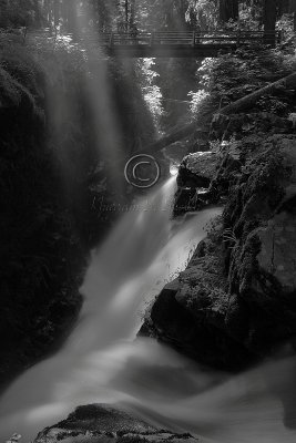 Sol Duc Falls - Black & White