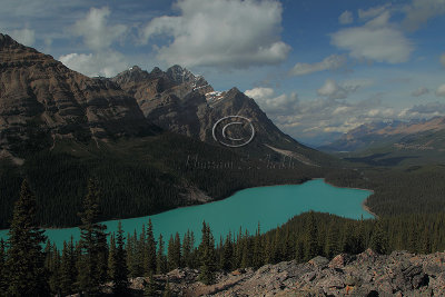 C30F2165Peyto.jpg