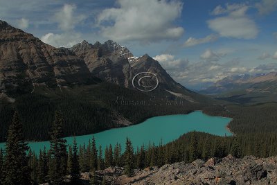 C30F2169Peyto.jpg