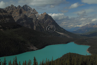 C30F2170Peyto.jpg