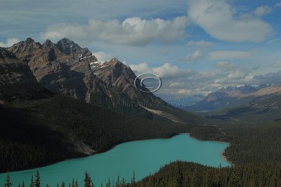 C30F2182Peyto.jpg