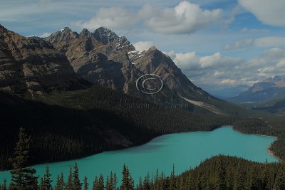 C30F2185Peyto.jpg