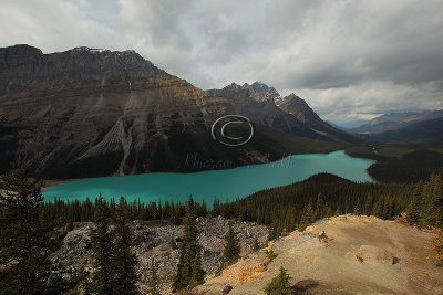 IMG_0784Peyto.jpg