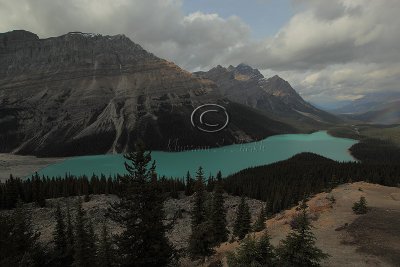 IMG_0791Peyto.jpg