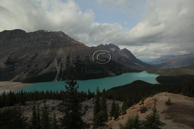 IMG_0795Peyto.jpg