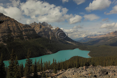 IMG_0825Peyto.jpg