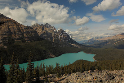 IMG_0829Peyto.jpg