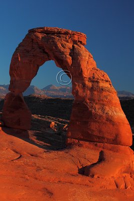 IMG_7654Delicate Arch.jpg