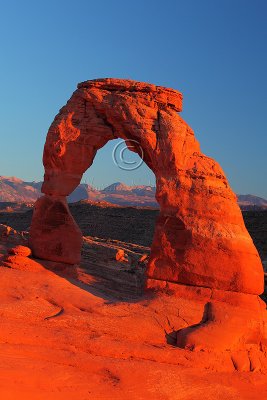 IMG_7668Delicate Arch.jpg