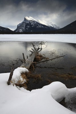 IMG_1364Banff Feb 08.jpg