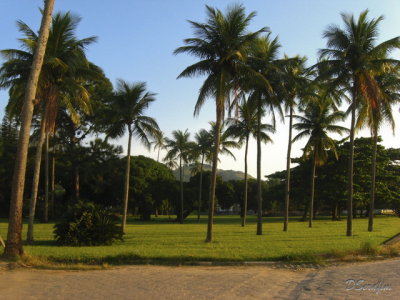 Jardim perto da Marina