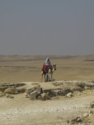 g1/02/809702/3/114394575.TUdUCTVM.jpg