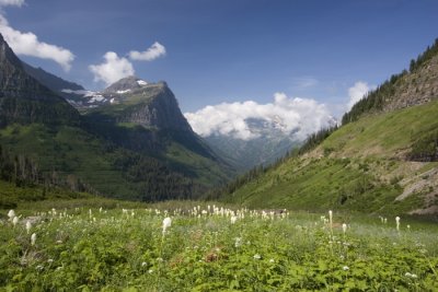 bear grass view.jpg