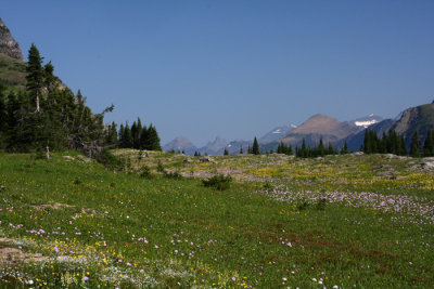 view.JPG