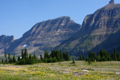view w deer.JPG