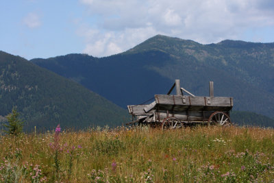Wagons ho.JPG