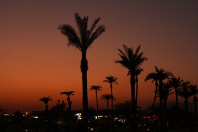 egypt sunset.jpg