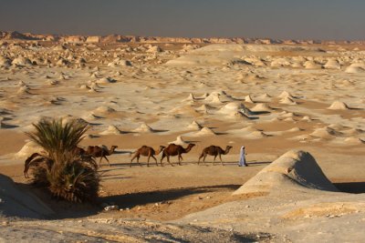 The White Desert.jpg