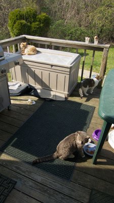 g1/02/82302/3/112184245.V85XHS4t.jpg